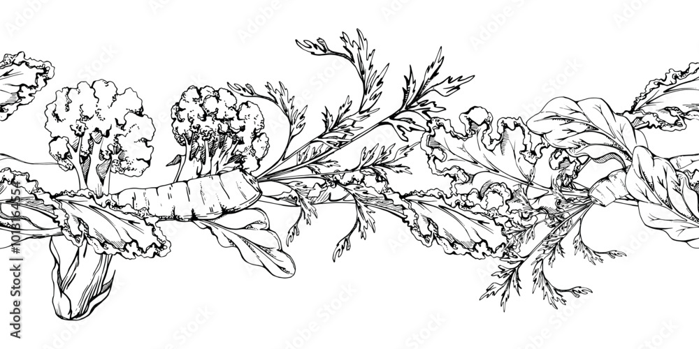 Fototapeta premium Hand drawn vector ink vegetables and green salad mix for diet, healthy lifestyle, vegan cooking. Illustration seamless border isolated on white background. Design recipe book, website, card, menu