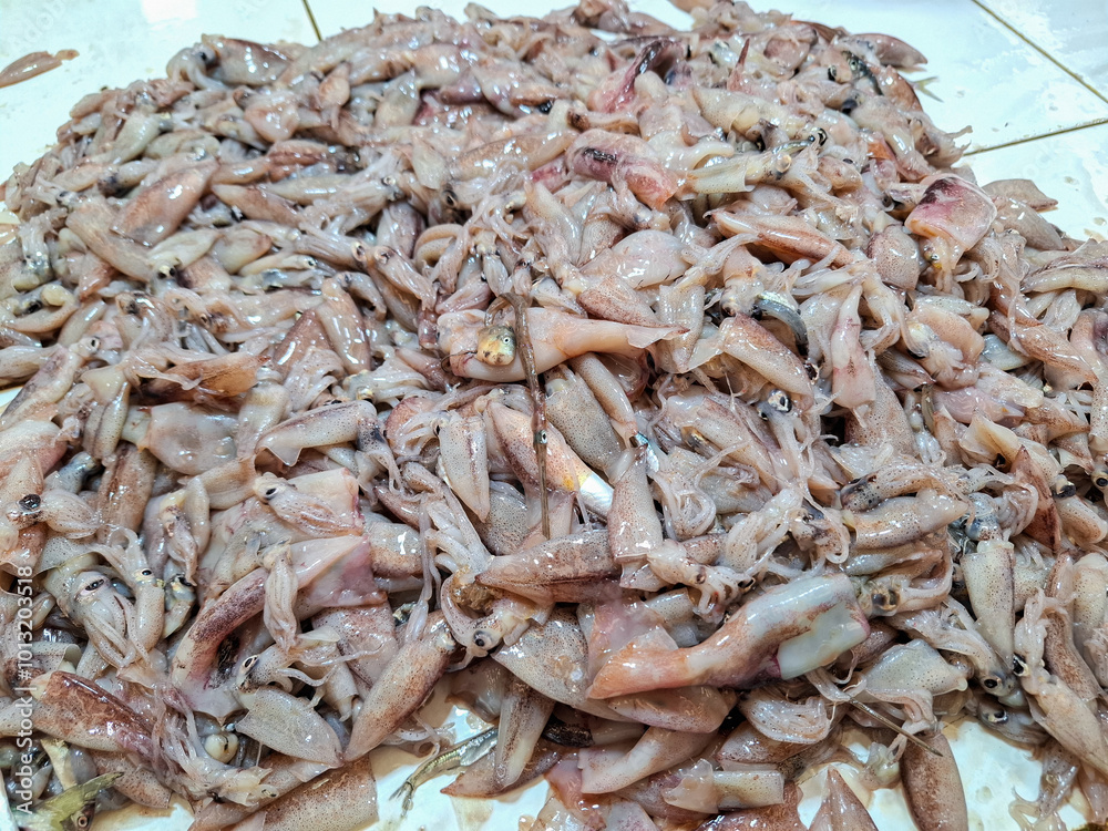 piles of fresh, small-sized raw squid for sale at traditional markets piles of fresh, small-sized raw squid for sale at traditional markets