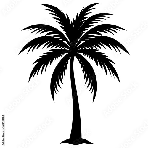 palm tree silhouette