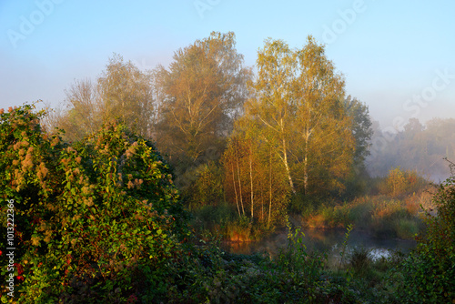 Episy swamp in the French Gâtinais Regional Nature Park