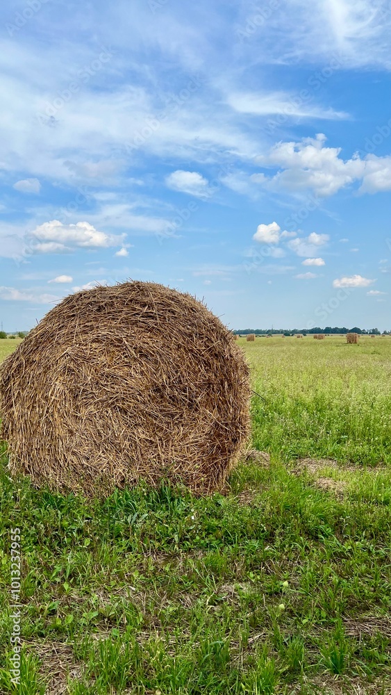 Vertical photo of a haystack against a blue sky, with other haystacks in the distance. Rural landscape. Agriculture, harvest, countryside, farming, open fields, rural life Vertical photo of a haystack against a blue sky, with other haystacks in the distance. Rural landscape. Agriculture, harvest, countryside, farming, open fields, rural life