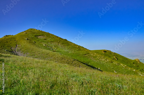 green summit of Mount Ara summit (Aragatsotn province, Armenia) photo