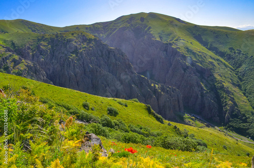 red poppies and blooming flowers on subalpine meadows of Mount Arailer (Aragatsotn province, Armenia)