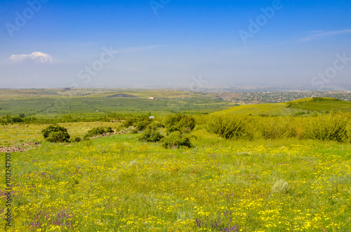 scenic view of Ararat plain from Mount Arailer (Aragatsotn province, Armenia) photo