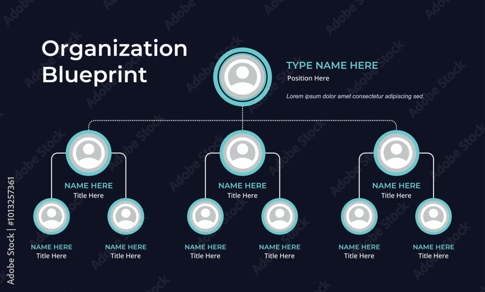 Organization or Company Structure infographic Organization or Company Structure infographic