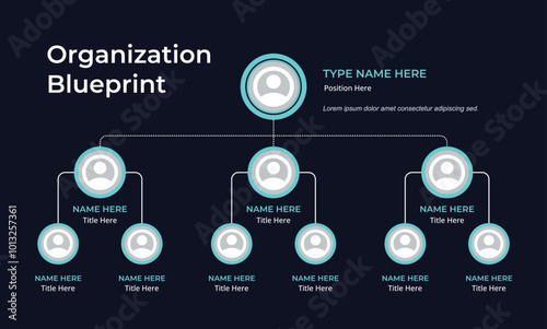 Organization or Company Structure infographic