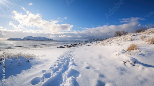 Snowy Beach Footprints
