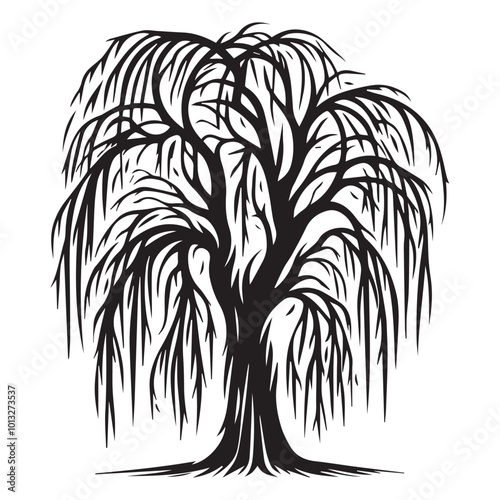 Willow Tree Vector illustration in black and white - Willow Plant Clipart Design

