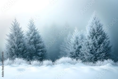 Snowy winter forest landscape