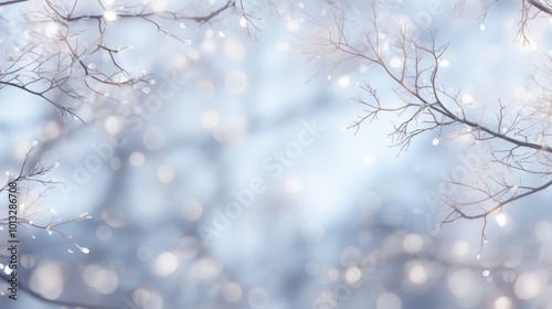 Enchanting christmas background with snowflakes, lights, and white tree branches on blue sky