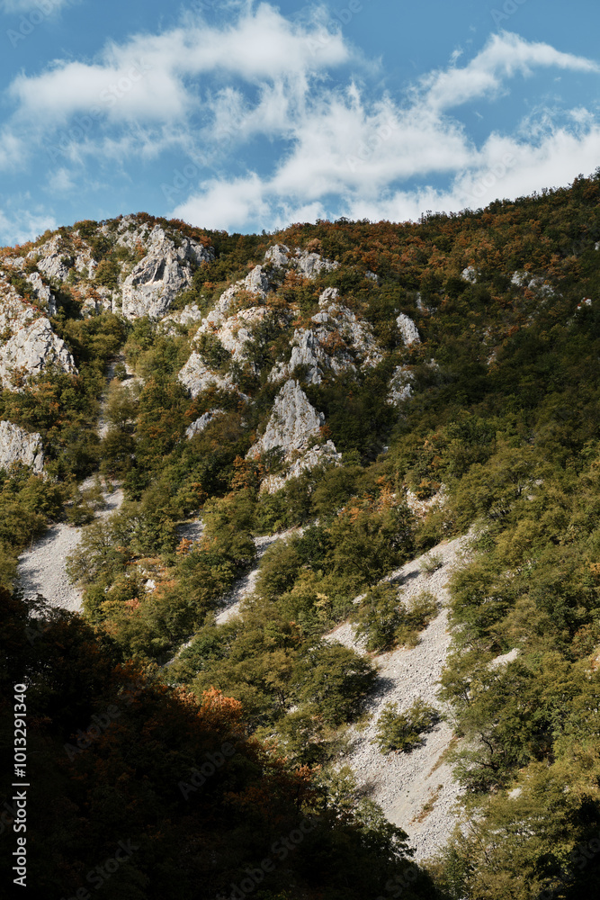 Beautiful view of the autumn forest and steep cliffs on a sunny day in a gorge near the town of Uzice in southern Serbia. The concept of peace and quiet. Beautiful view of the autumn forest and steep cliffs on a sunny day in a gorge near the town of Uzice in southern Serbia. The concept of peace and quiet.