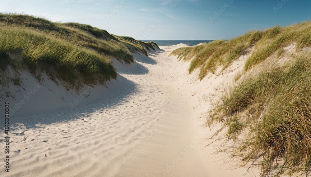 A beach with sand dunes and the sea in the background 2 A beach with sand dunes and the sea in the background 2