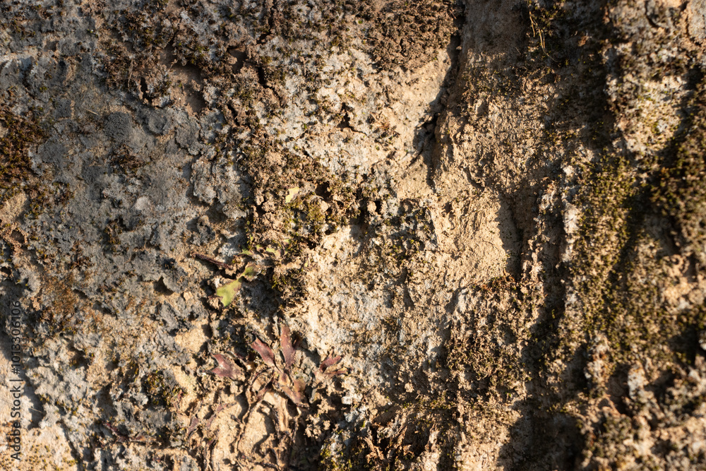 Natural weather effect brown rock texture with cracks, Close-up of Rough mountain surface background for design,backdrop Natural weather effect brown rock texture with cracks, Close-up of Rough mountain surface background for design,backdrop