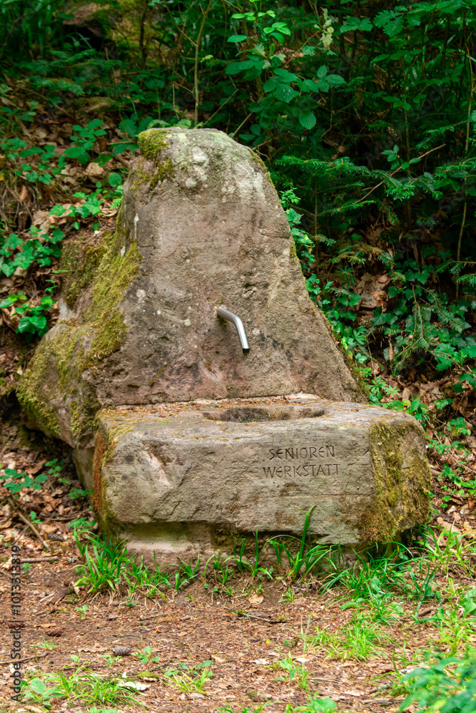 Fountain in the forest Fountain in the forest