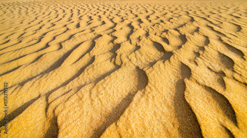 Sand dunes. landscape of golden sand dune with blue sky in desert