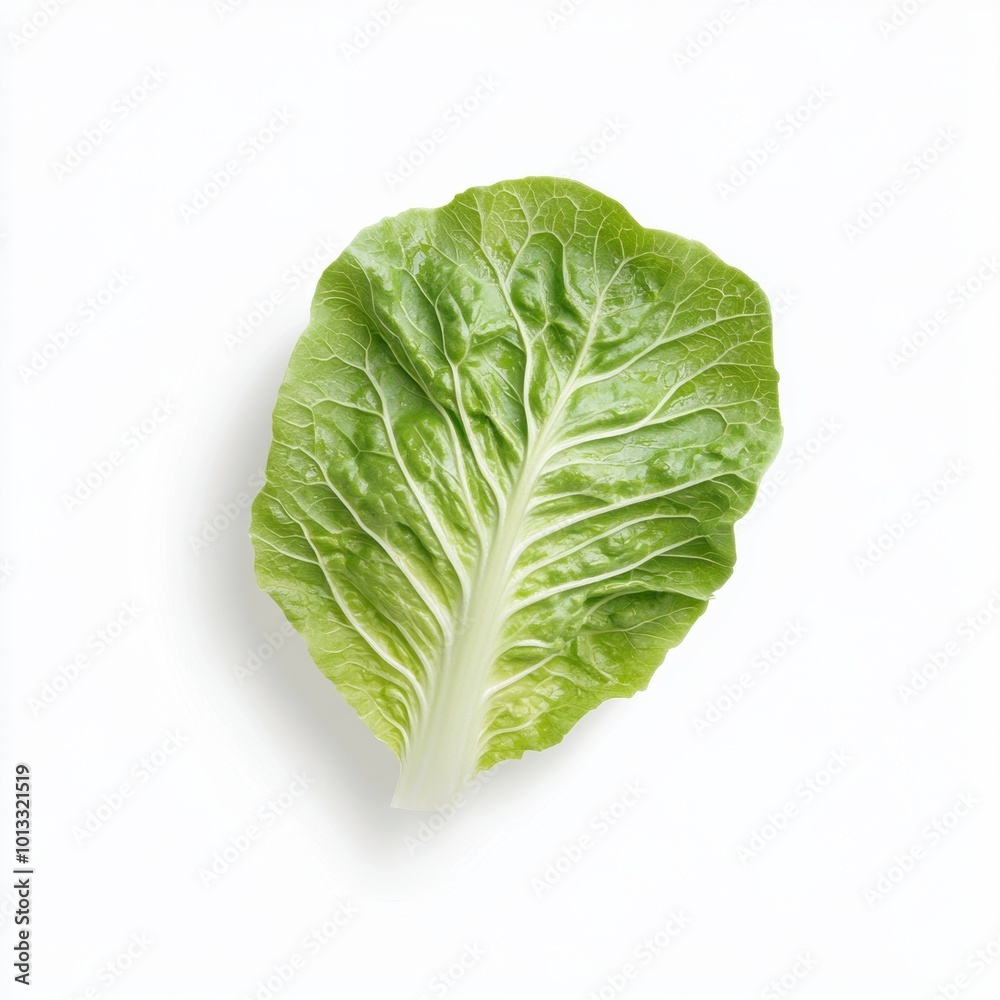 Single crisp green lettuce leaf isolated on a white background, showing detailed texture and veins.