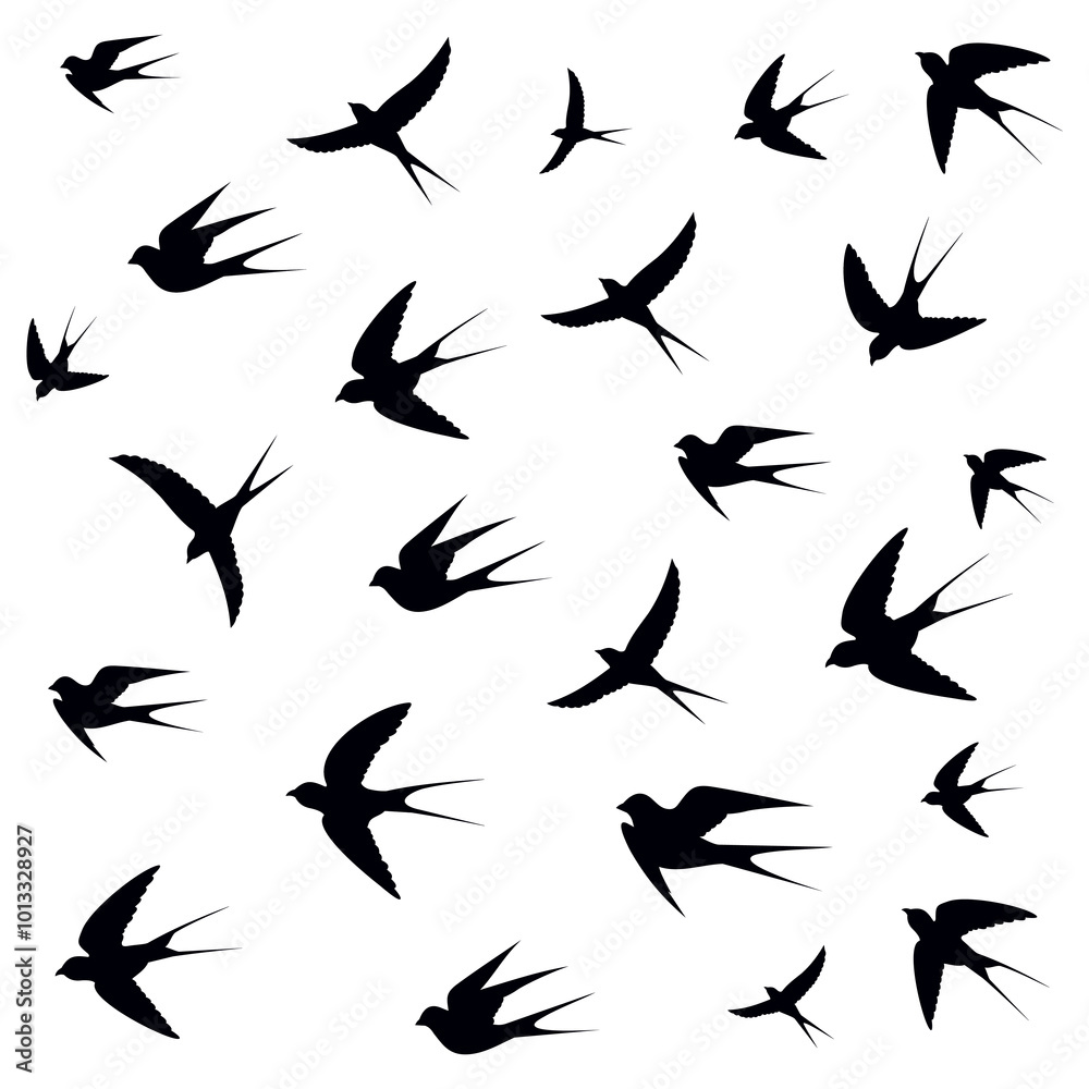 birds on a white background birds on a white background