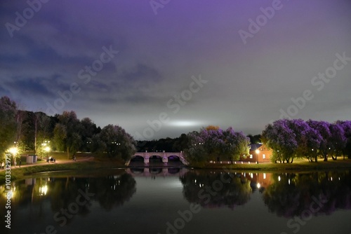 Obraz na płótnie Night view of the city w salonie