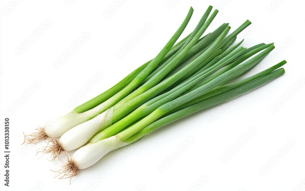 Young green onion isolated stock photo on white background Young green onion isolated stock photo on white background