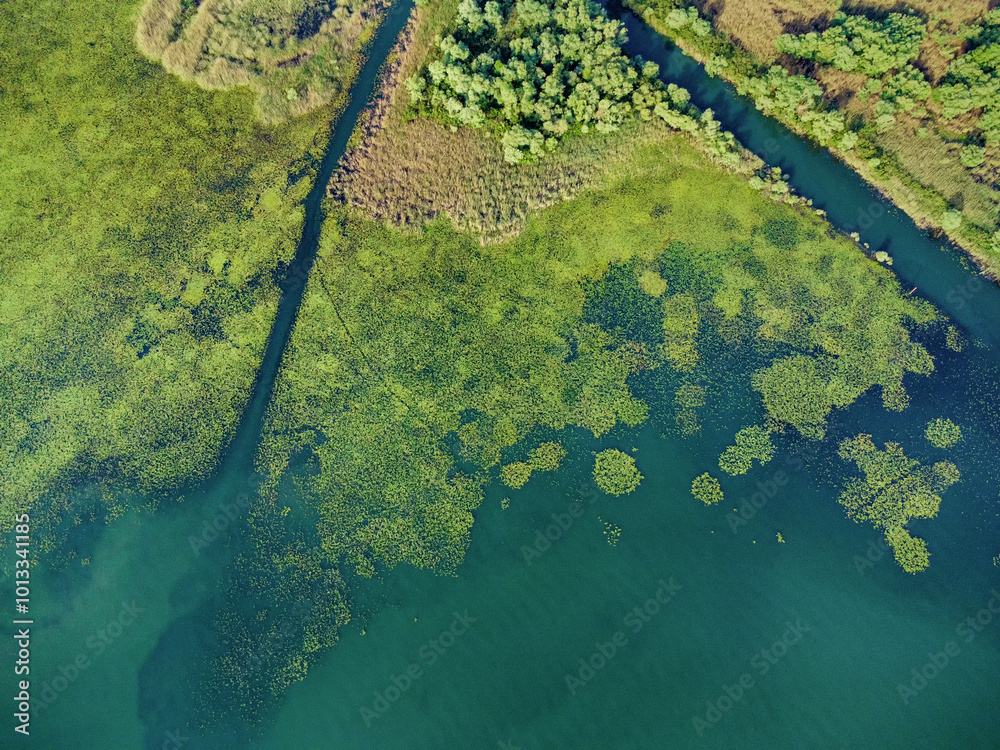 Aerial view of the lush ecosystem around Lake Skadar in Montenegro, featuring swampy areas and dense greenery