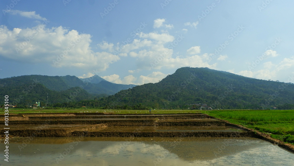 Obraz premium beautiful mountains with nice clouds around the rice fields