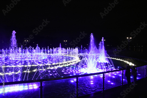 Obraz na płótnie Fountain in the night w salonie
