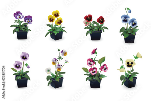 Violet Vitrocca (viola tricolor hybrid), another name Pansies in black plastic pots set isolated on white background. Flower seedlings collection for planting in the garden on a flower bed or for sale