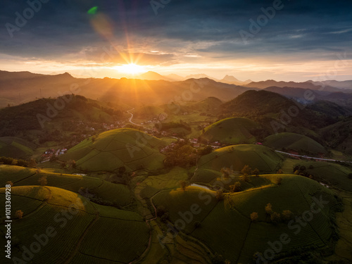 Fotografija Aerial view of beatiful sunset at Long Coc tea hill, Phu Tho province, Vietnam