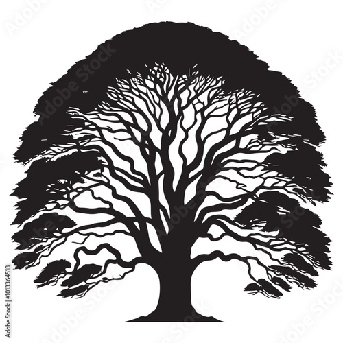 Elm Tree Vector illustration in black and white - Elm Plant Silhouette Design