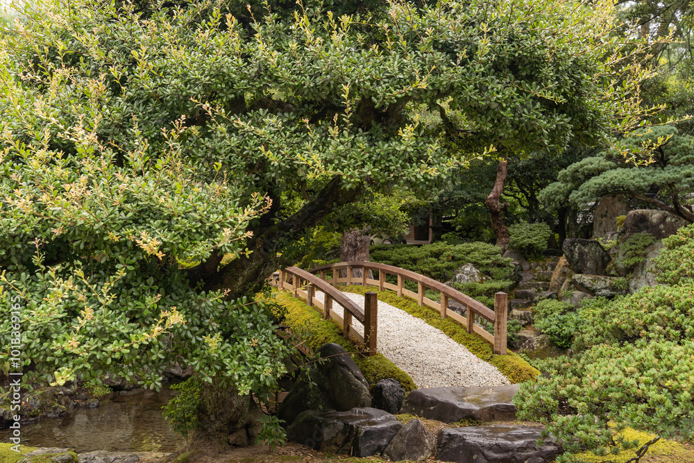 bridge over the river