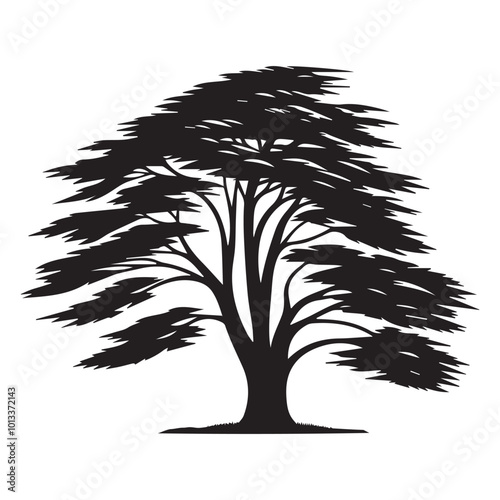 Cypress Tree Vector illustration in black and white - Cypress Plant Silhouette Design