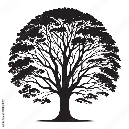 
Flowering dogwood Tree Vector illustration in black and white - Flowering dogwood Plant Silhouette Design
