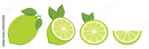 Lime fruit icon set in flat style. Organic fruits vector illustration on isolated background. Vitamin C food sign business concept.
