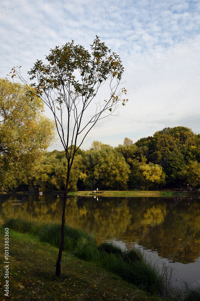 Autumn landscape with lake and trees
