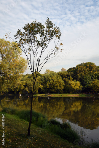 Obraz na płótnie Autumn landscape with lake and trees w salonie