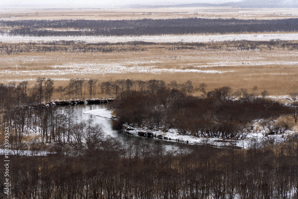 Kushiro marsh in Hokkaido
Japan Kushiro marsh in Hokkaido
Japan