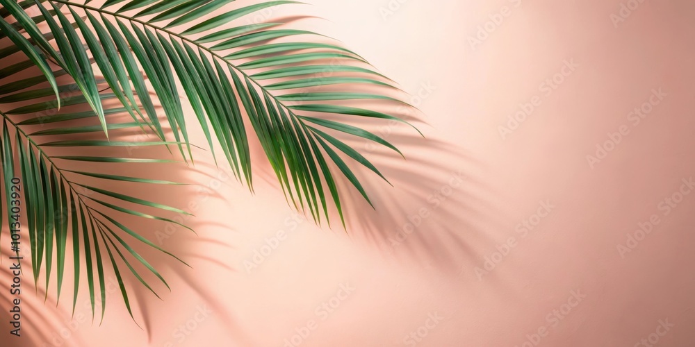 Shadow of tropical flower on smooth peach colored wall Shadow of tropical flower on smooth peach colored wall
