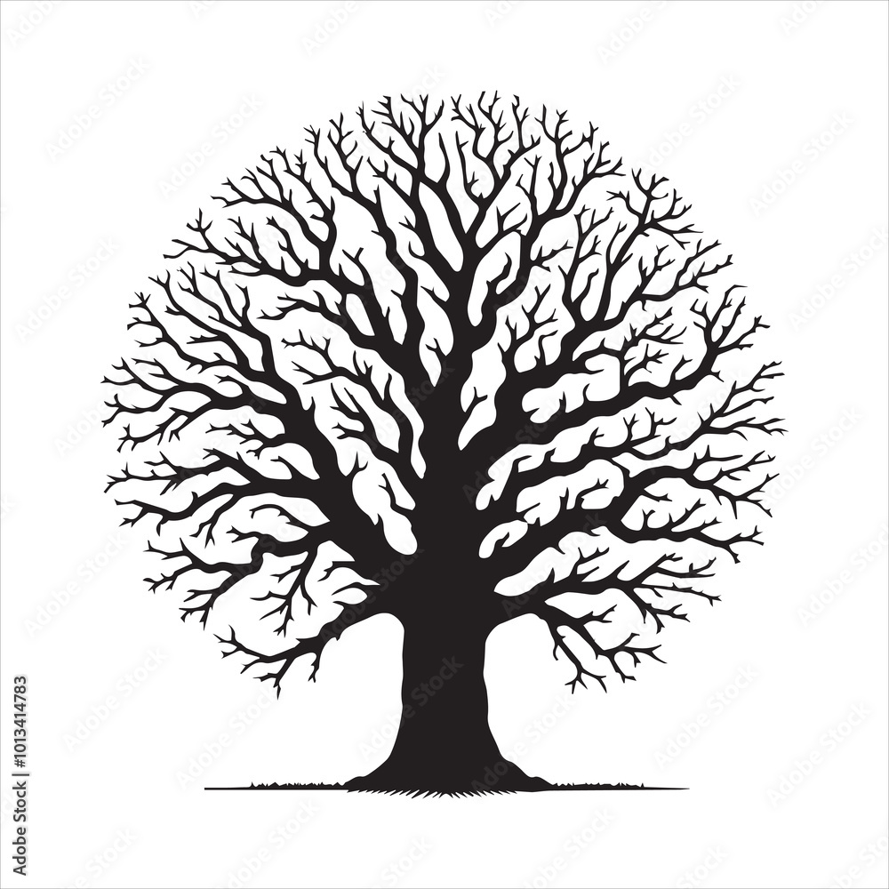 Obraz premium Oak Tree Vector illustration in black and white - Oak Plant Silhouette Design 