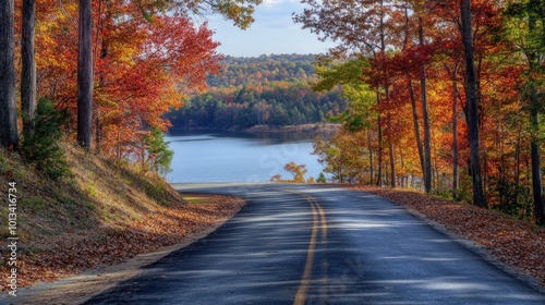 Autumnal Drive Along a Serene Lake