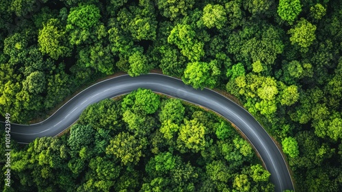 Aerial view of a winding road through a lush green forest.