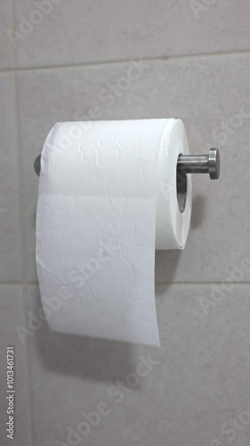 Hand Placing Toilet Paper Roll On Holder. Vertical.