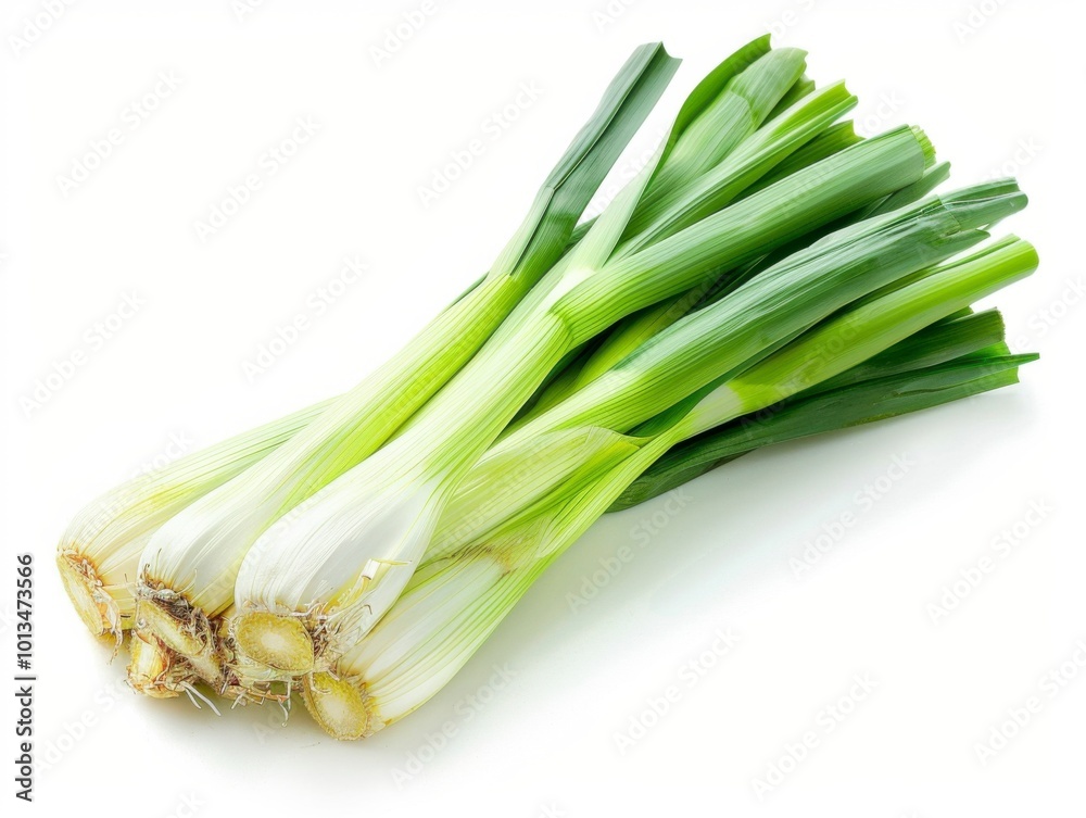 Fototapeta premium Fresh Leek Isolated on White Background with Lighting