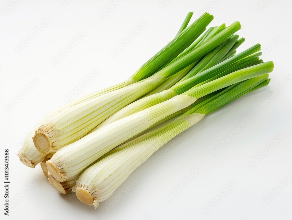 Fresh Leeks on White Background for Culinary Use Fresh Leeks on White Background for Culinary Use