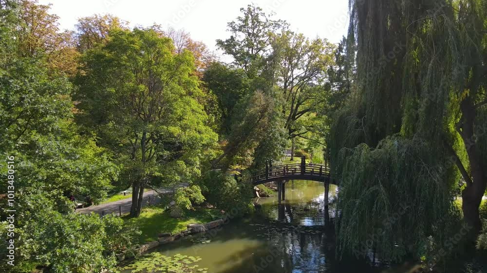 nature park recreation walk drone flight Japan