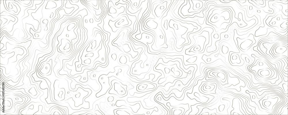 Fototapeta premium Dynamic Landscape Patterns Perfect for Contemporary Visuals and Branding Topography Abstract Background.