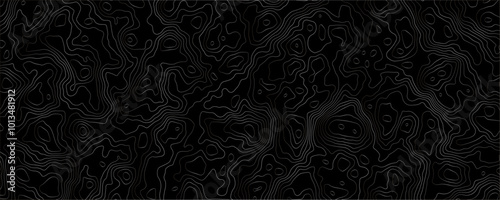 Vector Topography Graphics Designed for Use in Cartographic and Digital Projects