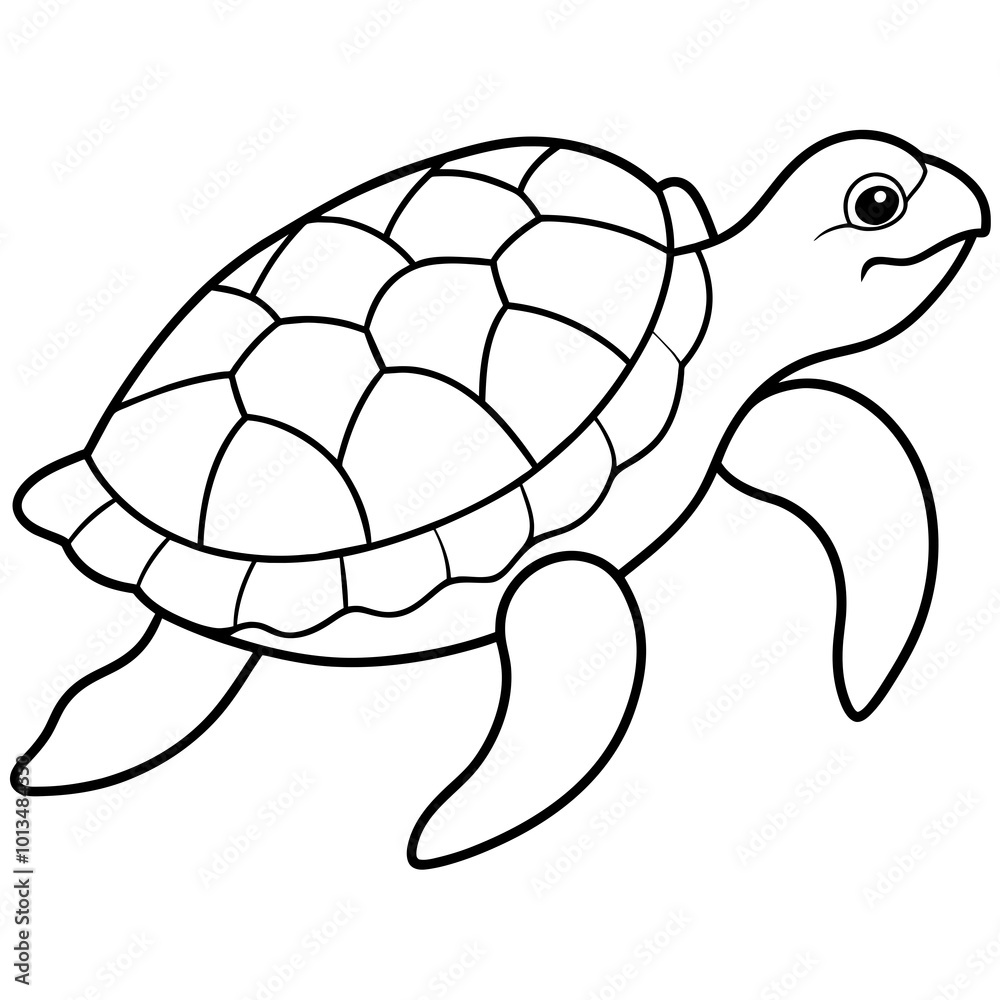 Fototapeta premium Turtle silhouette vector illustration with a detailed shell and hinged plastron. Ideal for nature-themed designs, logos, and educational materials.