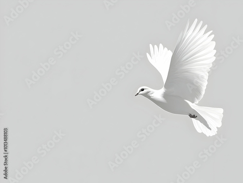 Minimalistic Light Grey Background with Dove Outline for Peace Messaging | Ideal for Human Rights Day Designs photo