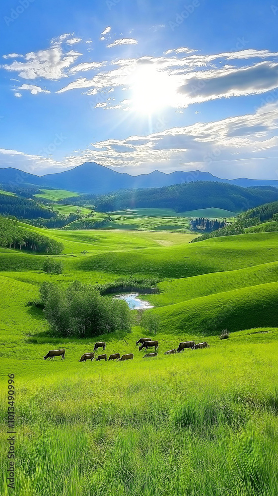 Fototapeta premium A Tranquil Harvest