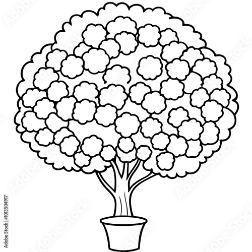 topiary bush outline coloring book page line art drawing